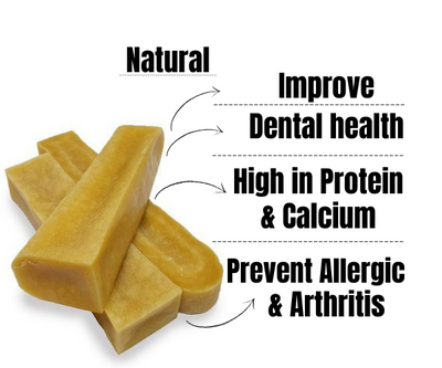 10 amazing benefits of yak chews for dogs