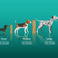 Premium Yak chew dental treat Bundle