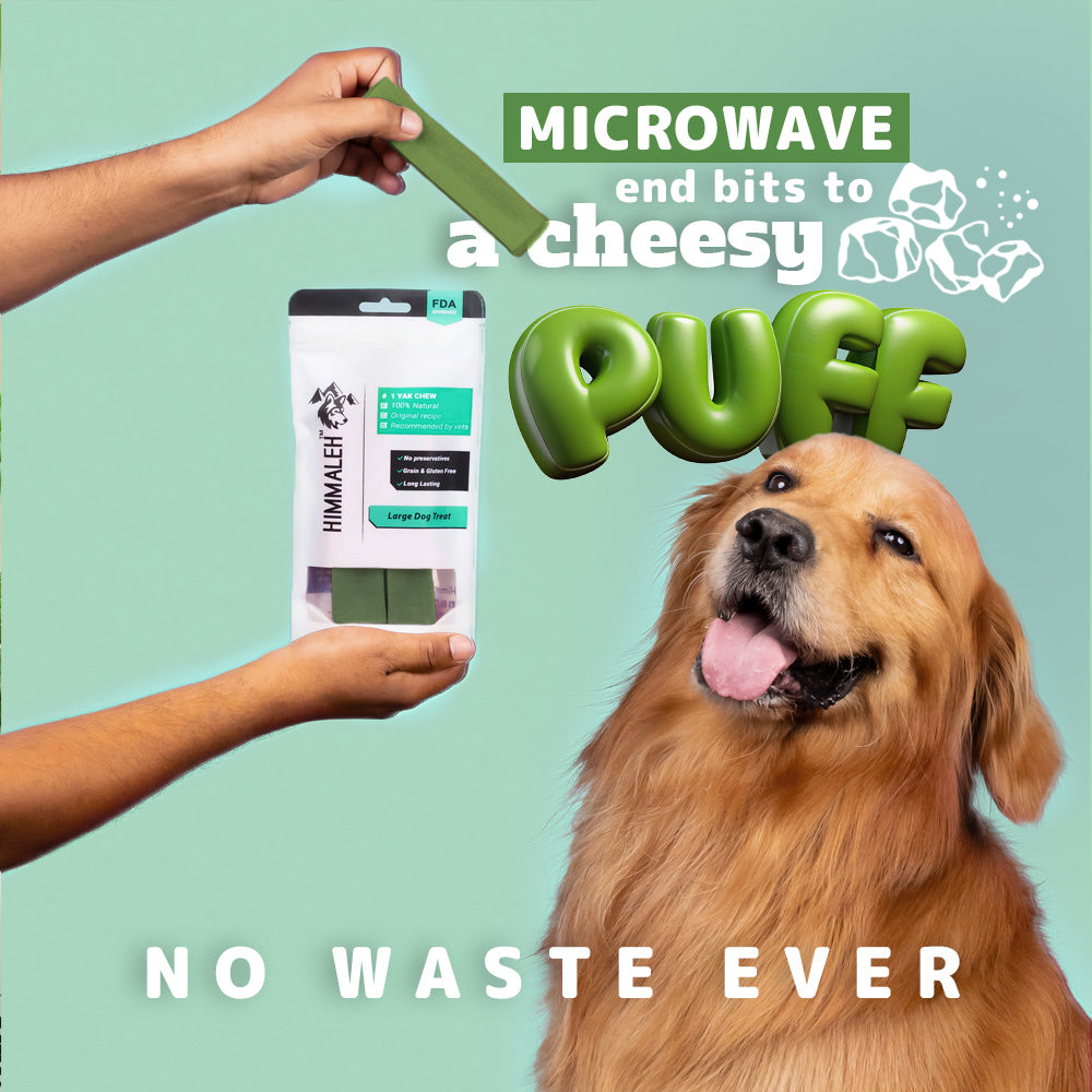 Mint Yak Chews for Dogs