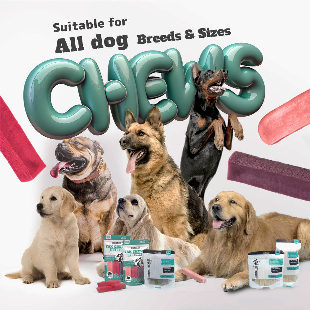 Flavoured Yak Chews (Bluberry Cranberry Strawberry)