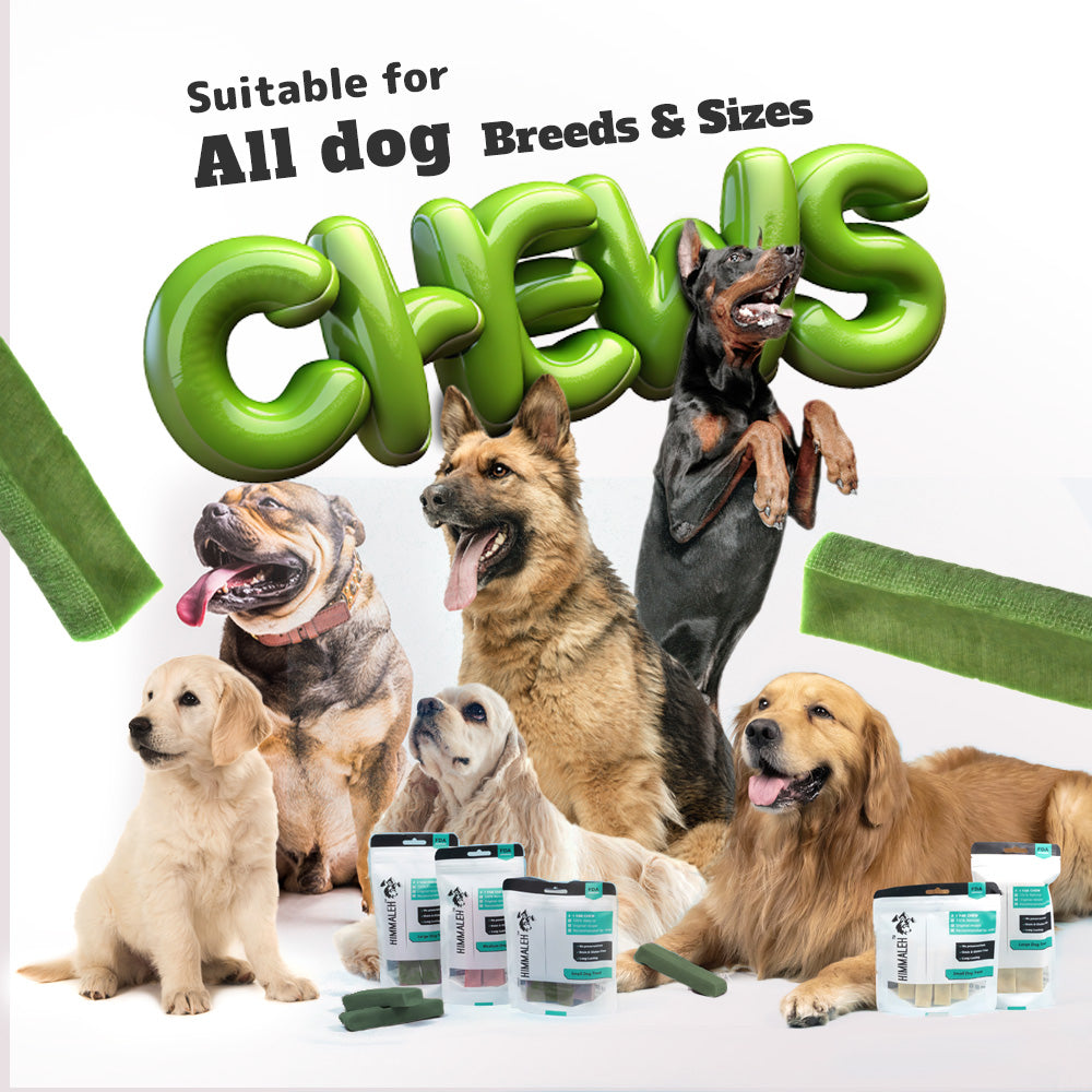 Mint Yak Chews for Dogs