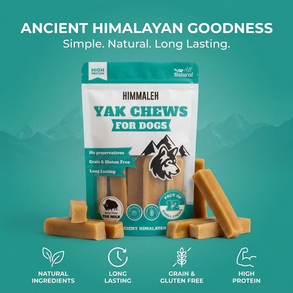 Himmaleh Yak Chew (SMALL)