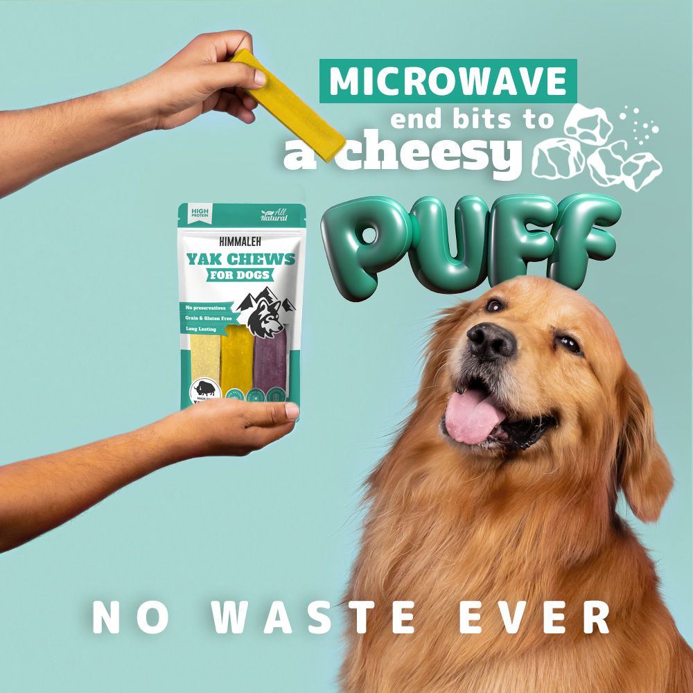 Flavoured Yak Chews (Blueberry Mango Coconut)