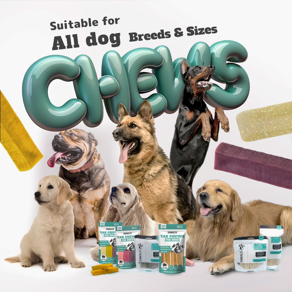 Flavoured Yak Chews (Blueberry Mango Coconut)