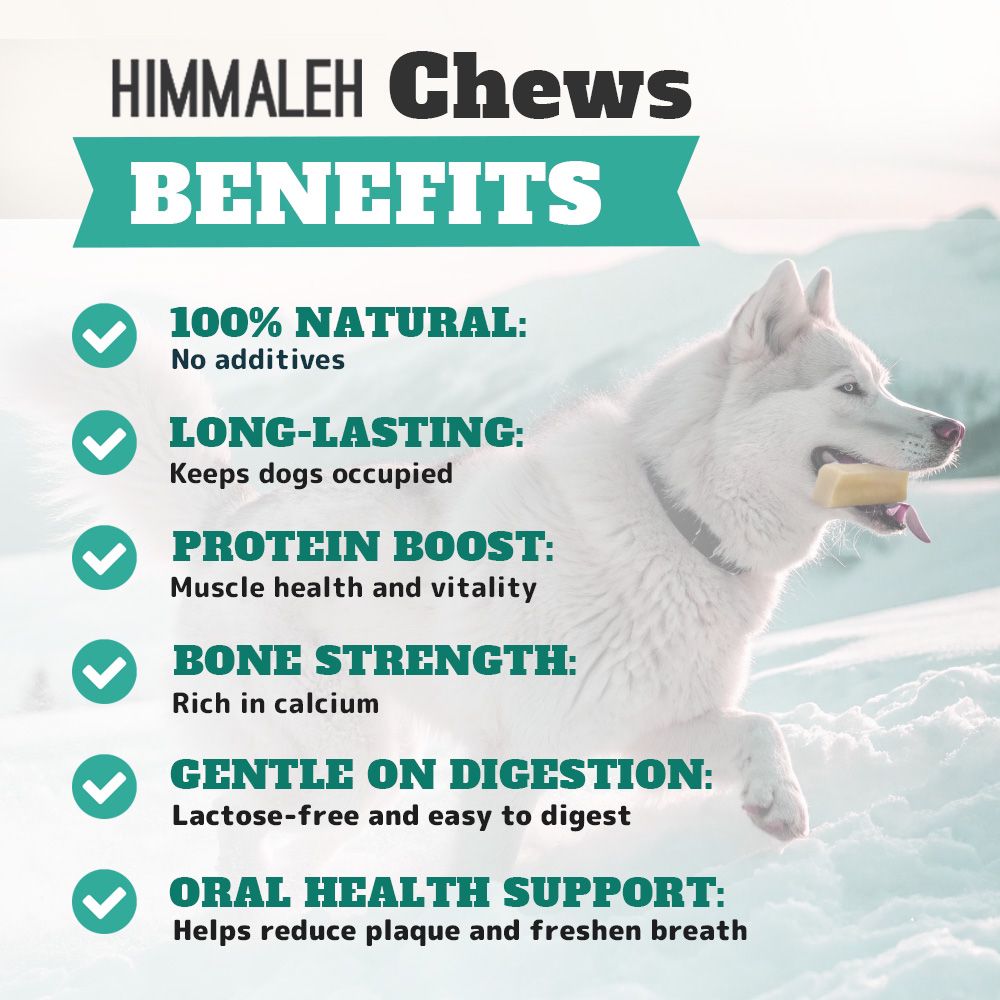 Himalyan yak chew (SMALL)