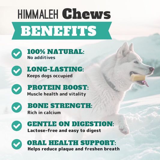 Himalyan yak chew XL (Extra large)