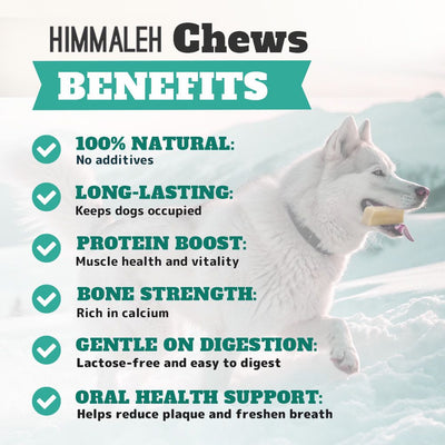 Himalyan yak chew XL (Extra large)