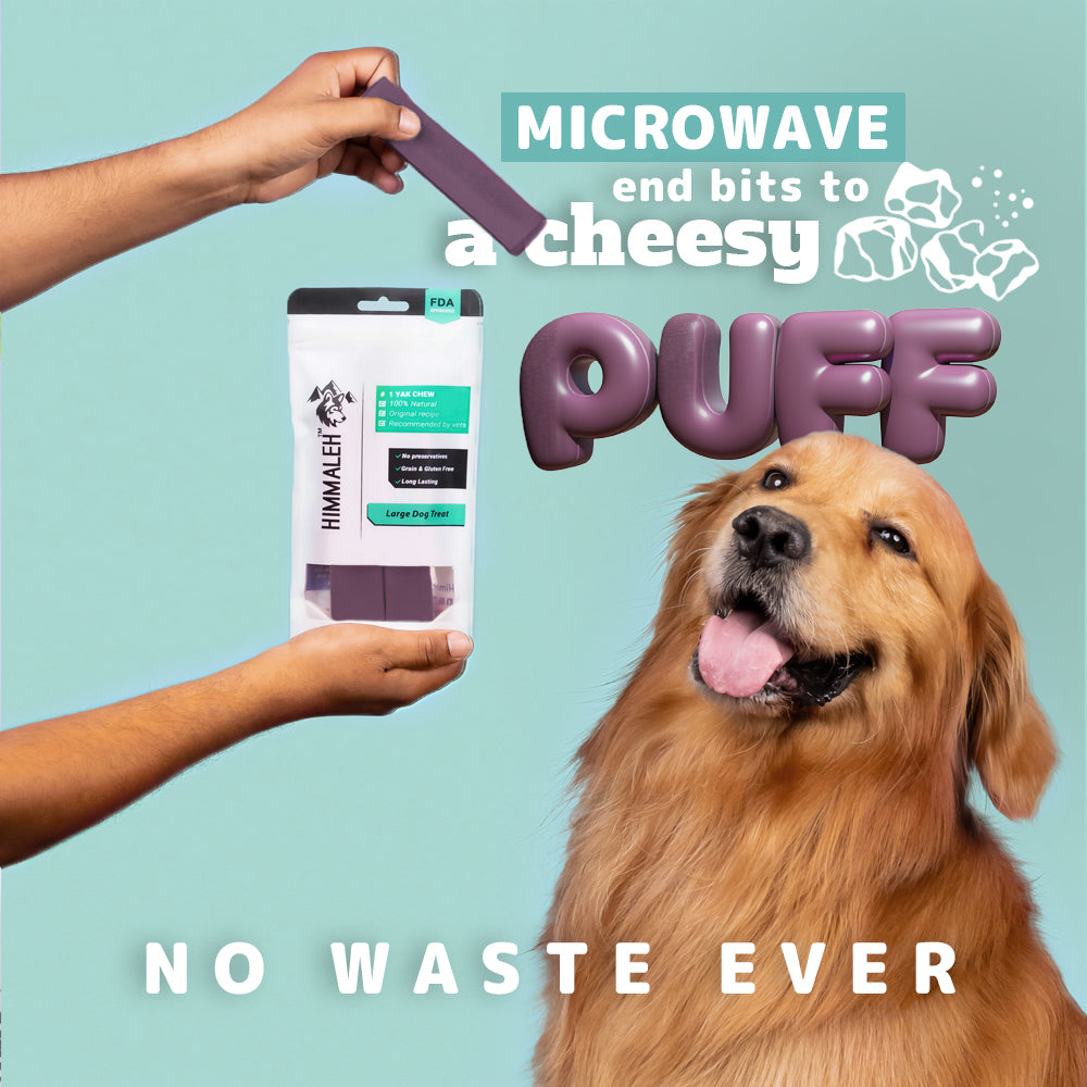 Blueberry Yak Chews for Dogs