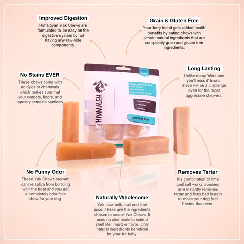 Premium Yak chew dental treat Bundle